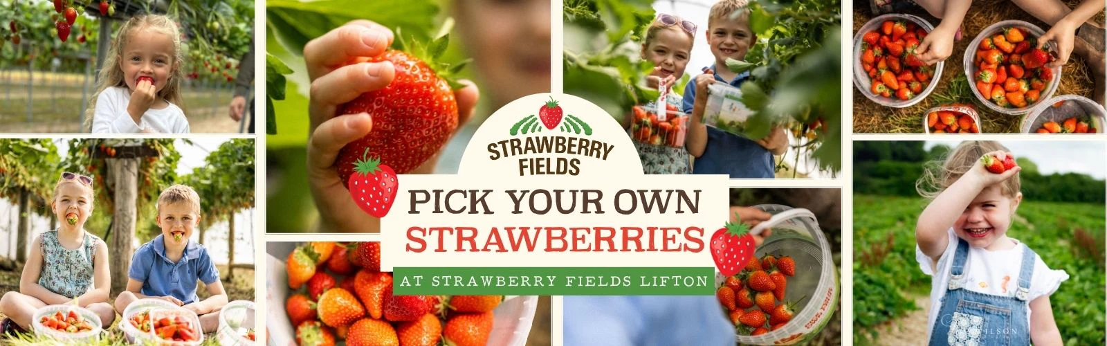 Fresh From Our Fields Daily